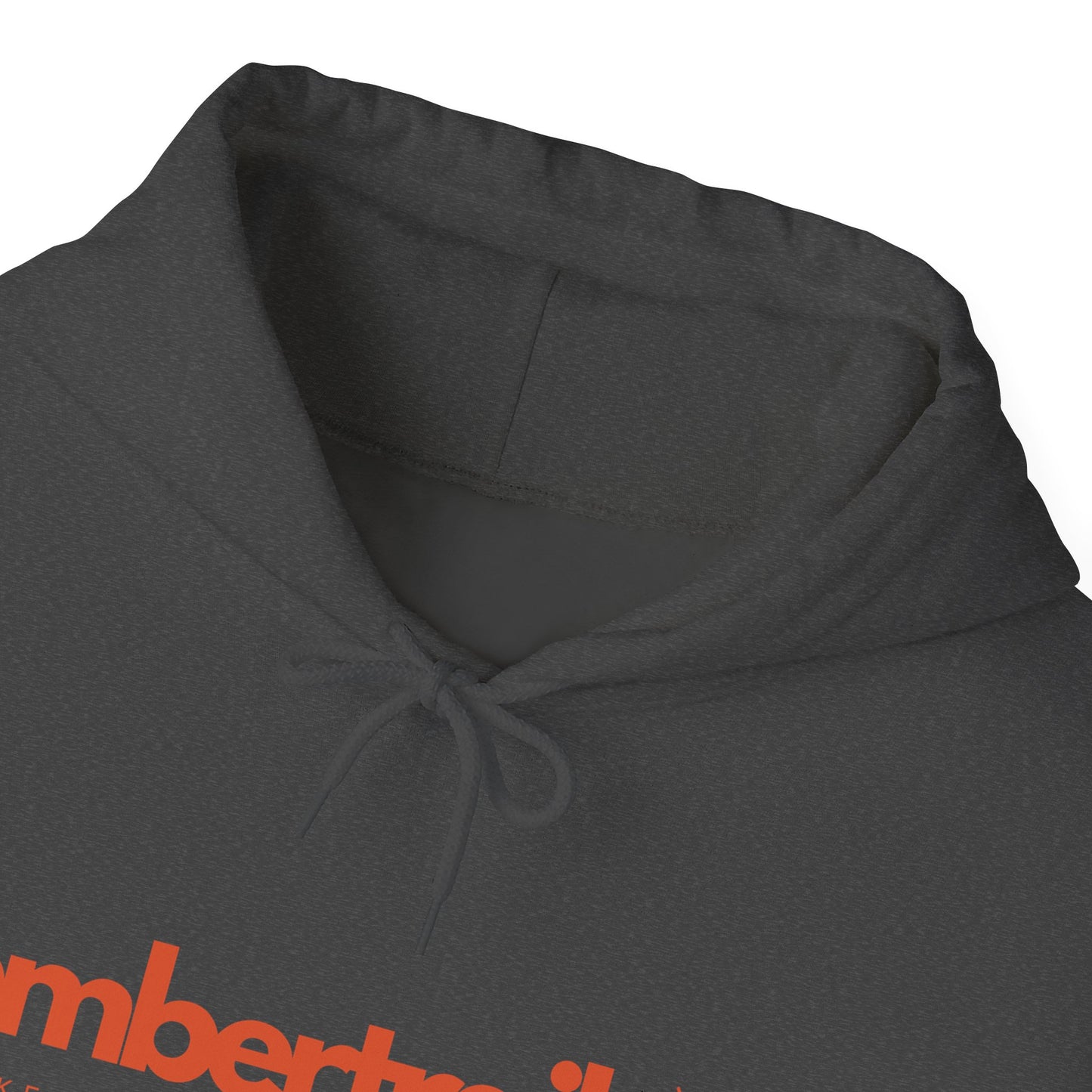 Embertrail Logo Hoodie — Retro Festival Hoodie
