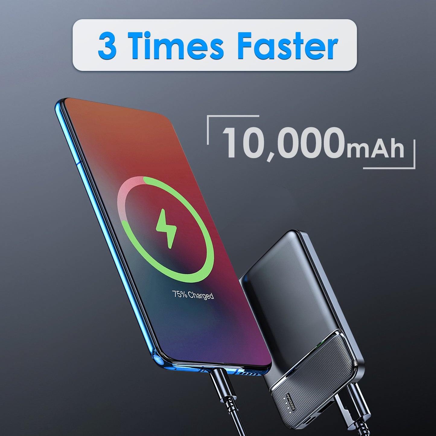 Fast Charging Power Bank