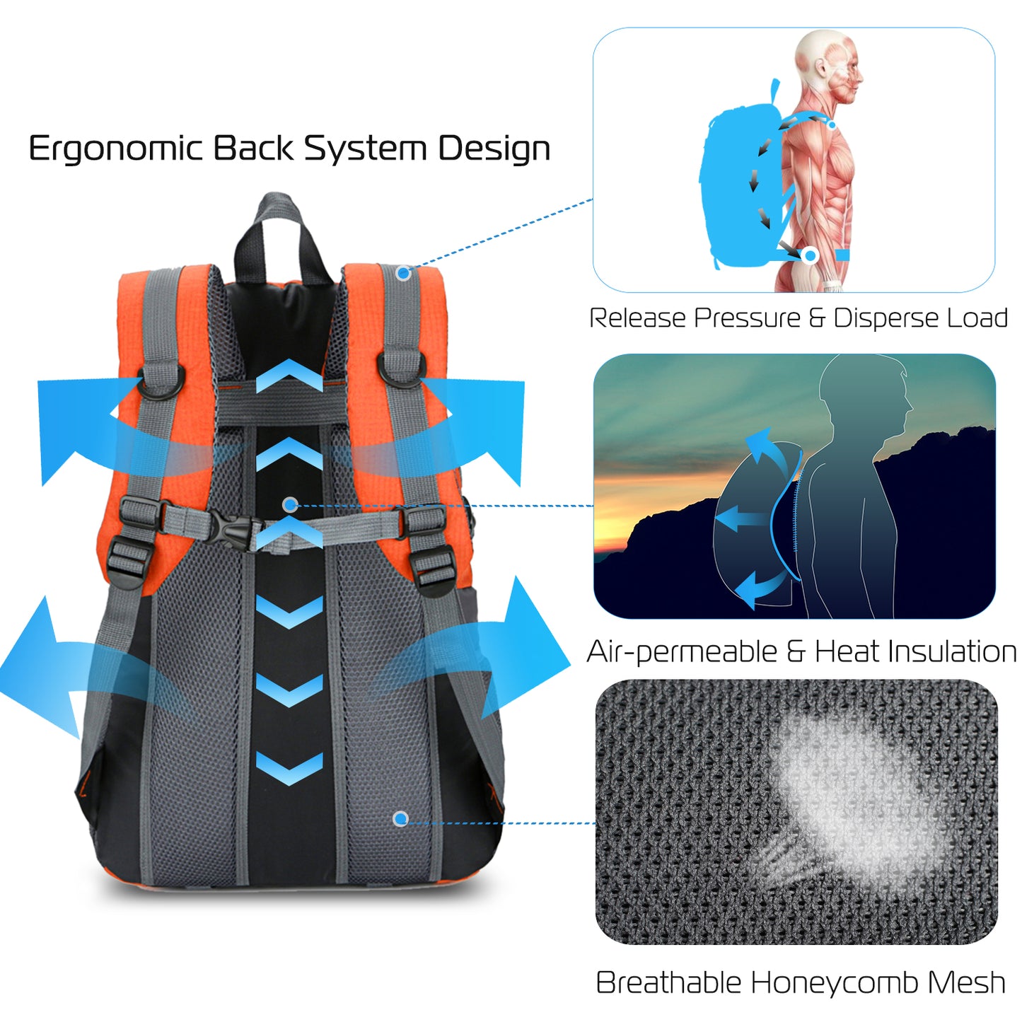 36L Waterproof Outdoor Daypack | Lightweight Hiking & Travel Backpack (Black or Orange)